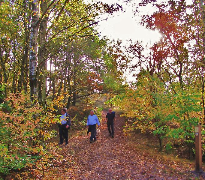Wandeling van Monke en Judith op 21-10-2012 (81).JPG